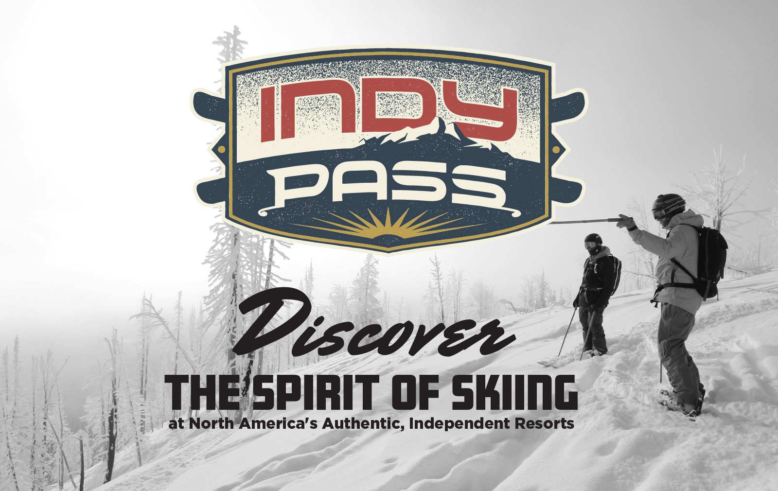 Link to the Indy Pass website