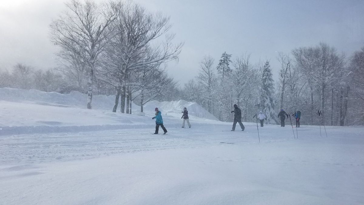 Nordic & Snowshoeing Lessons & Tours Bolton Valley