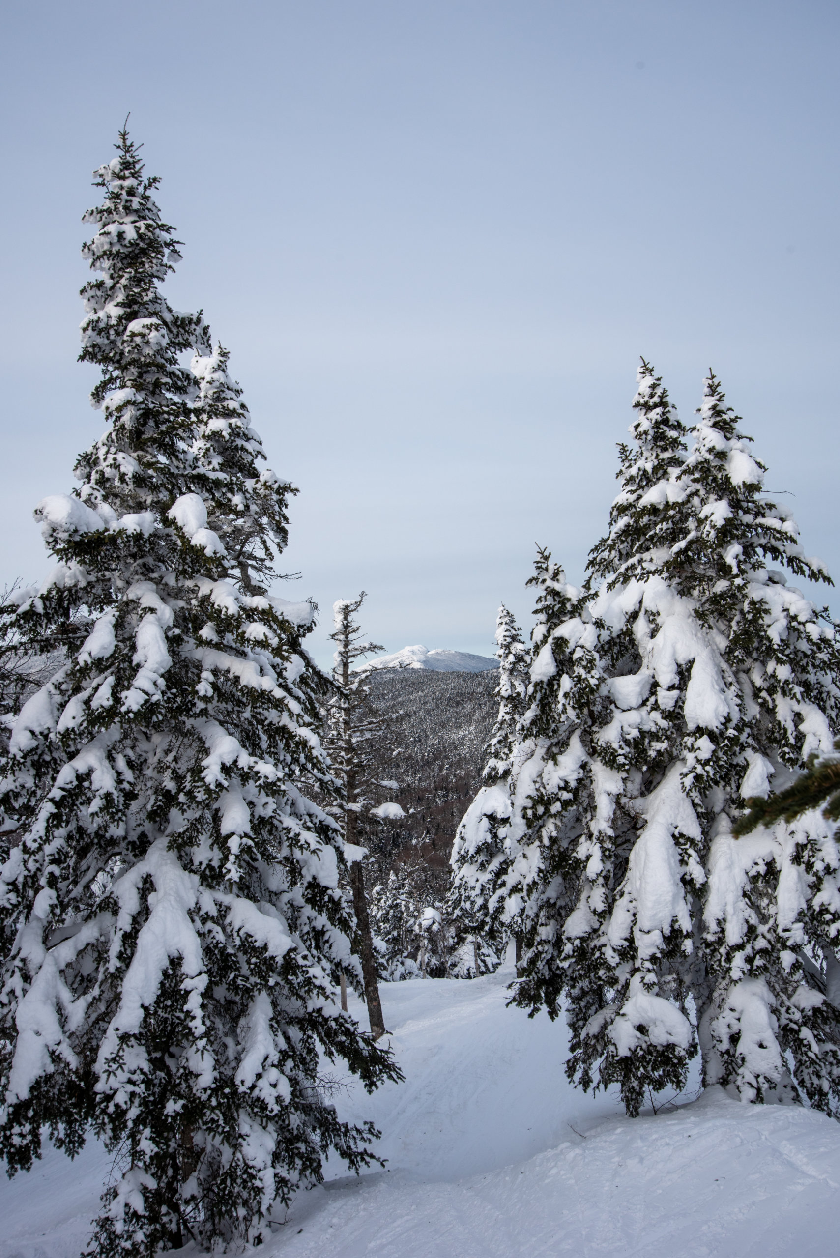 www.boltonvalley.com