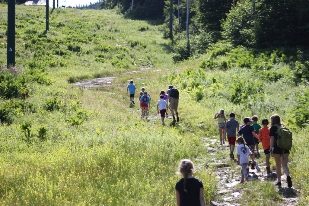 A Group of Kids Hike Up the Mountain at Bolton Valley During Summer Camp