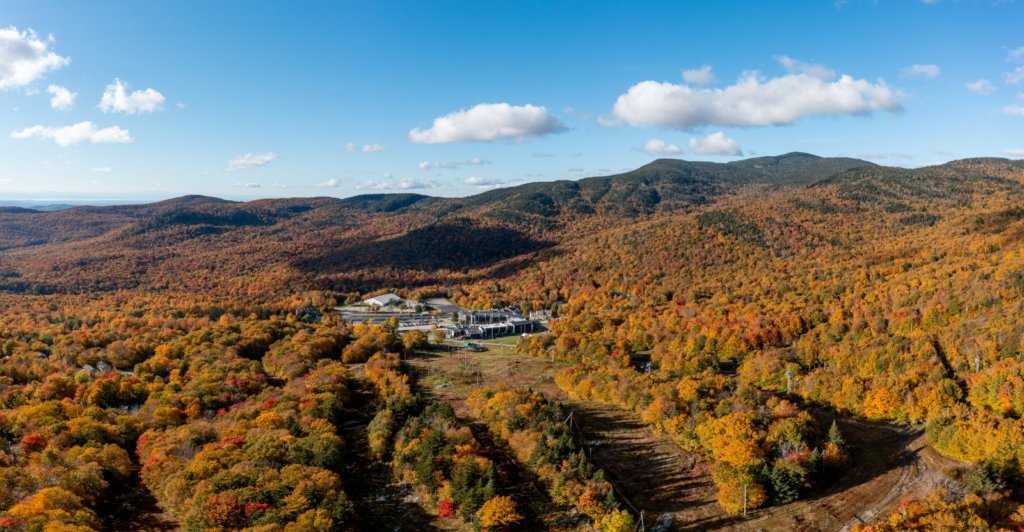 Beautiful Fall Foliage