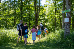 Summer Campers Walk Down a Path to go Swimming