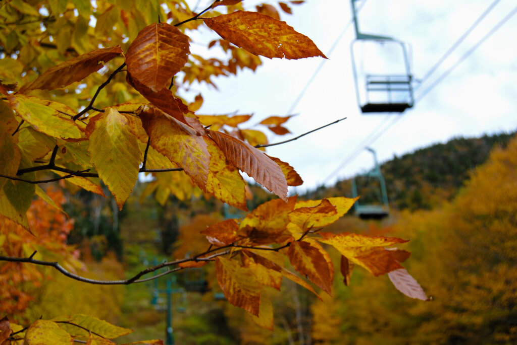 Orange Leaves of Vermont Fall Frame the Chair Lift