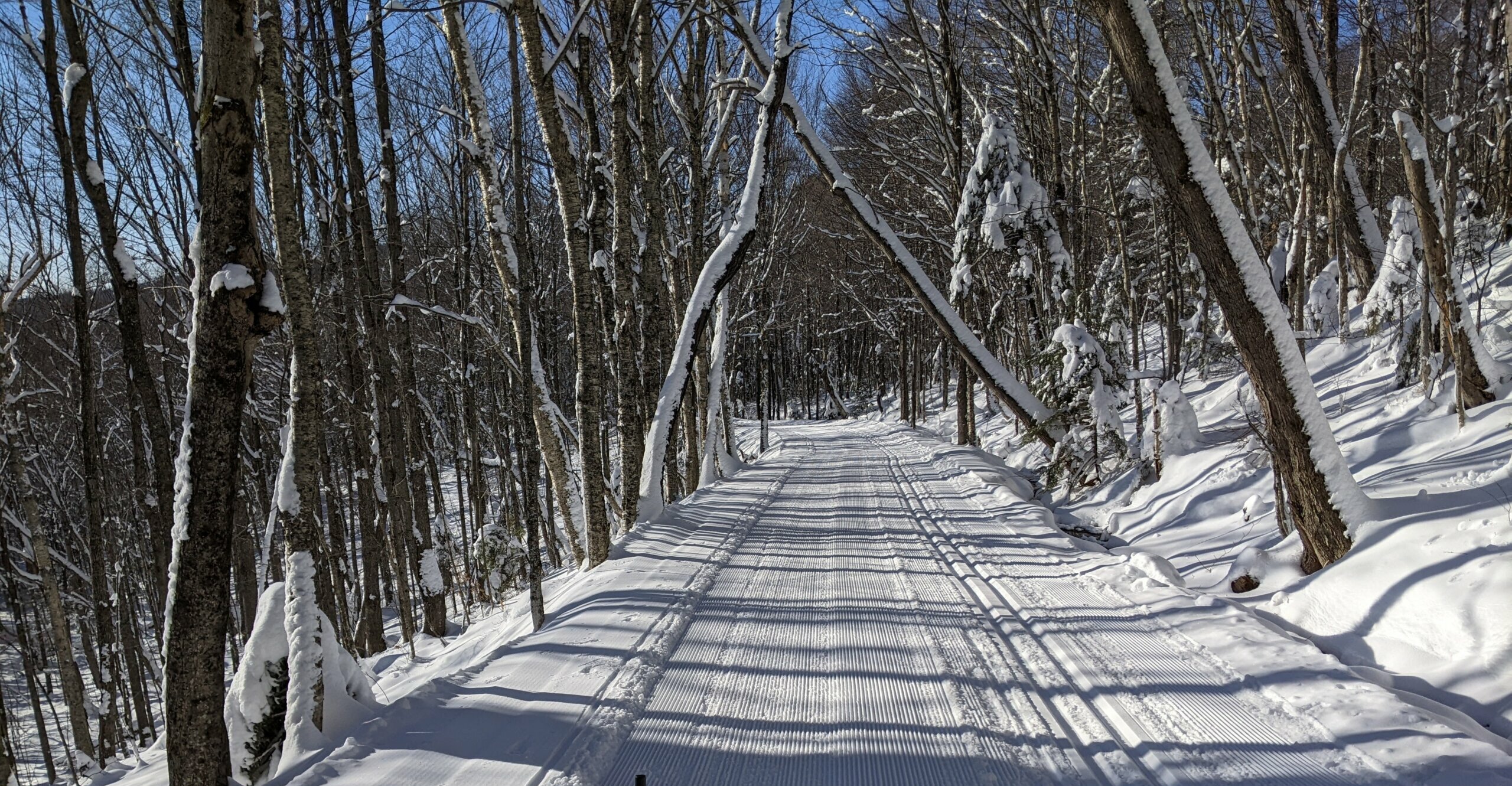 Grooming equipment creating fines lines on a cross country trail on a blue sky day