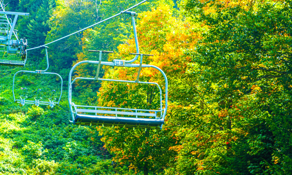 Chair lift with trees turning into foliage in the background