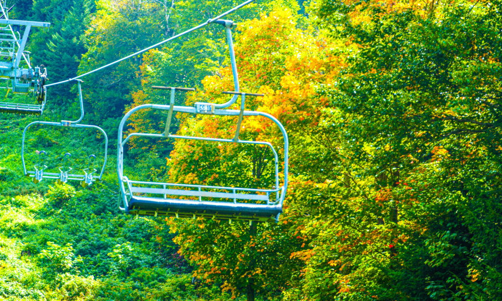 Chair lift with trees turning into foliage in the background