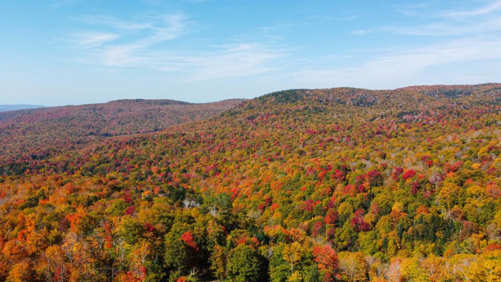 Foliage Shot 2023 from the air