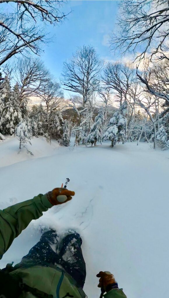 a point of view photo a skier in deep November snow in a clearing in the woods