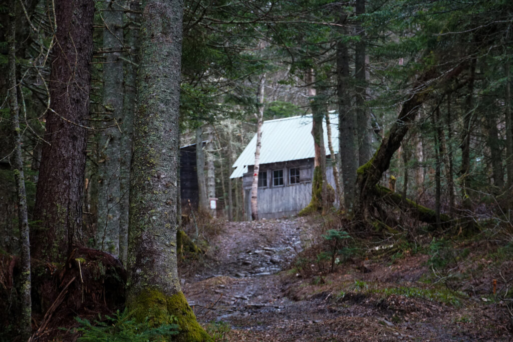 bryant camp visible through the trees